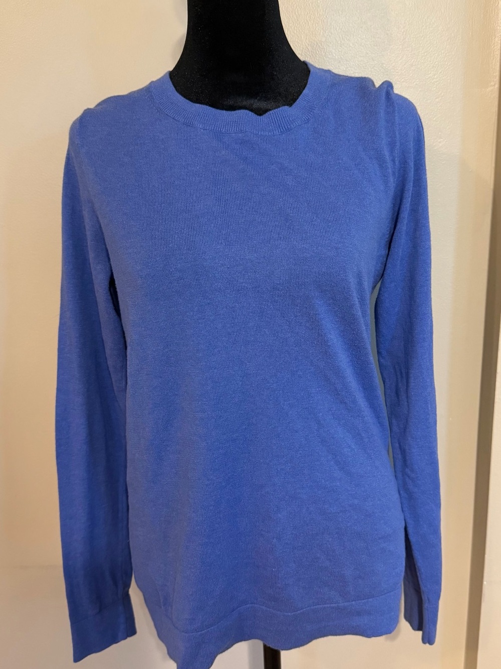 J.Crew Teddie Sweater in Cornflower Blue